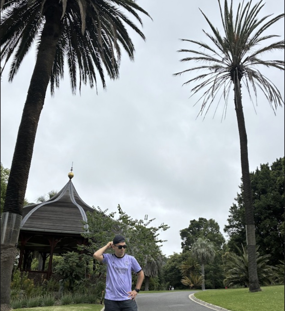 Palms at the Royal Botanic Gardens, Melbourne